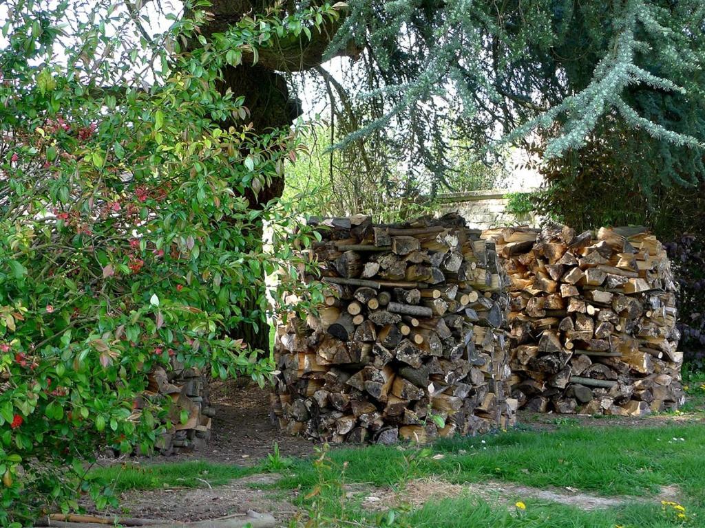 Le Sous-Bois B&B Moyenneville  Екстер'єр фото